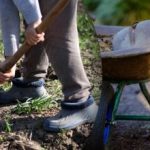 Aussaatkalender für September 2025: Was im Garten und auf dem