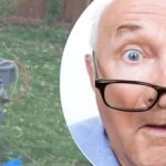 Der seltsame Fund in der Nähe des Baumes gab der