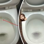 Ein Produkt bringt Ihre Toilettenschüssel auf Hochglanz: Wie Sie Plaque und Schmutz in 15 Minuten beseitigen können Ein Produkt bringt Ihre Toilettenschüssel auf Hochglanz: Wie Sie Plaque