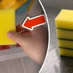 Warum ein Schwamm in die Gefriertruhe gehört: Ein einfacher Trick