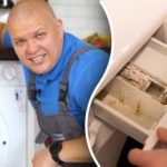 Wie man eine Waschmaschine von Schimmel und Gerüchen befreit: Tipps