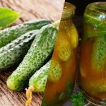 Wie man Gurken in Chili-Ketchup für den Winter einlegt: 3 unvergleichliche Rezepte Wie man Gurken in Chili-Ketchup für den Winter einlegt: 3